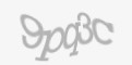 Қорғаныс коды